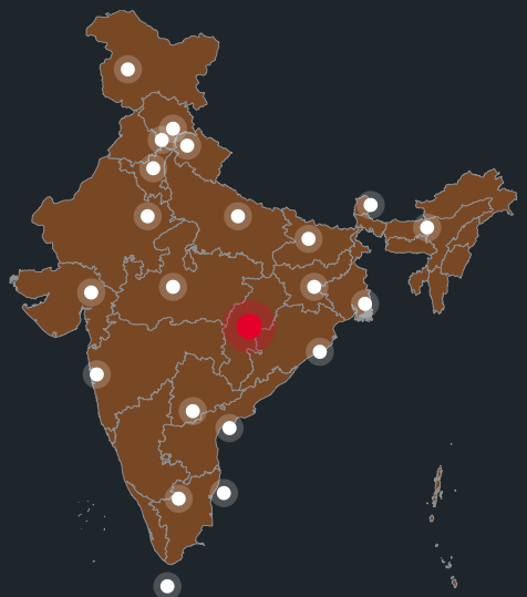 Map of India showing SDI Steels domestic distribution reach, with the Raipur, Chhattisgarh hub marked and delivery points across the country